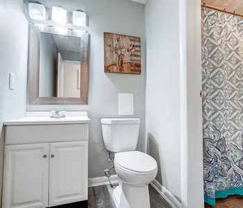 A small, modern bathroom featuring a white toilet, a sink with a cabinet below, a mirror, and a patterned shower curtain. The walls are painted light gray, and the floor appears to be a dark wood finish.