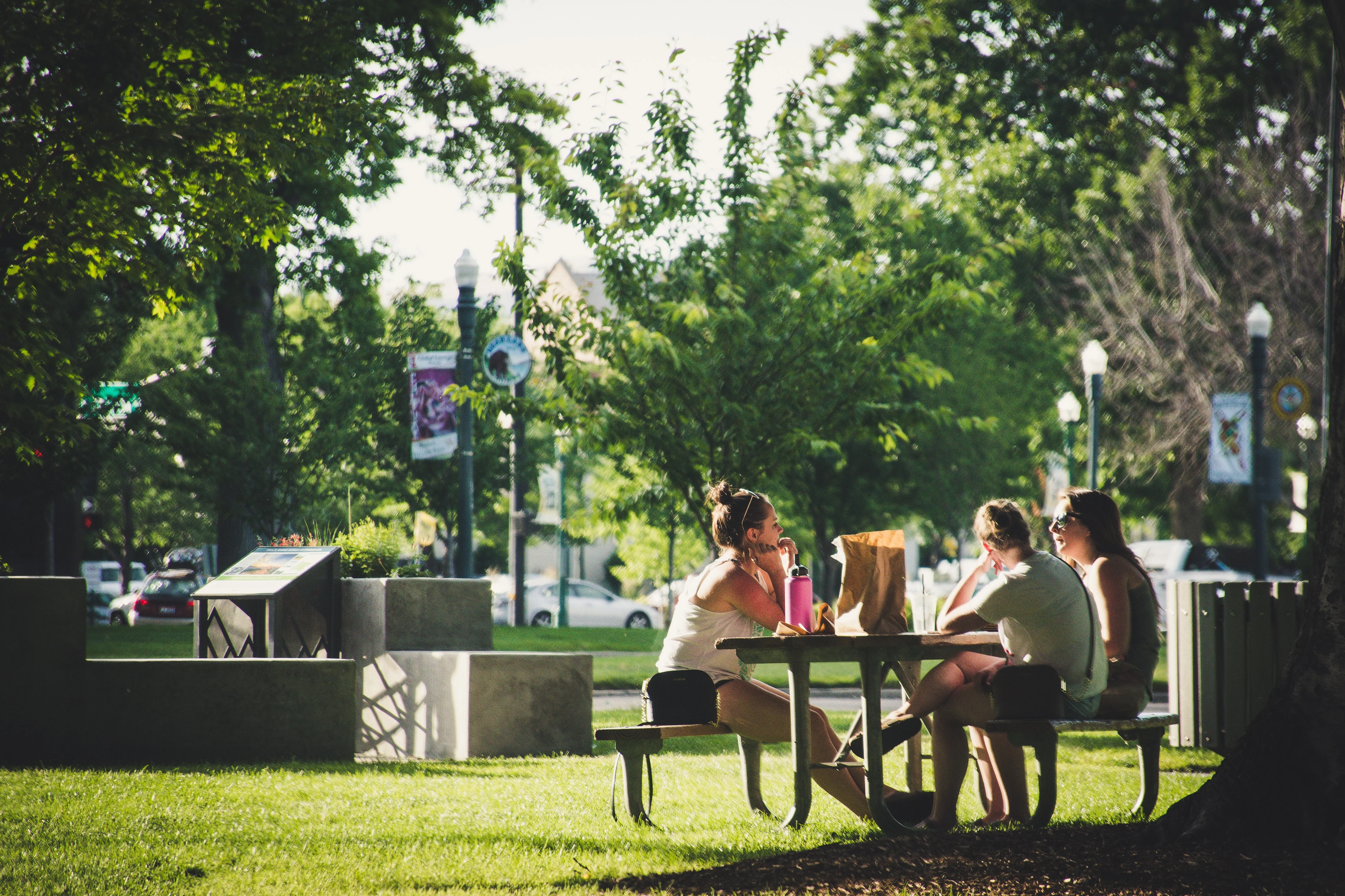 A group of three individuals sitting at a picnic table in a park, enjoying a sunny day. The scene includes lush greenery and hints of the city skyline in the background.