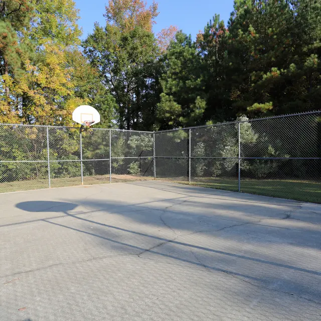 Basketball Court