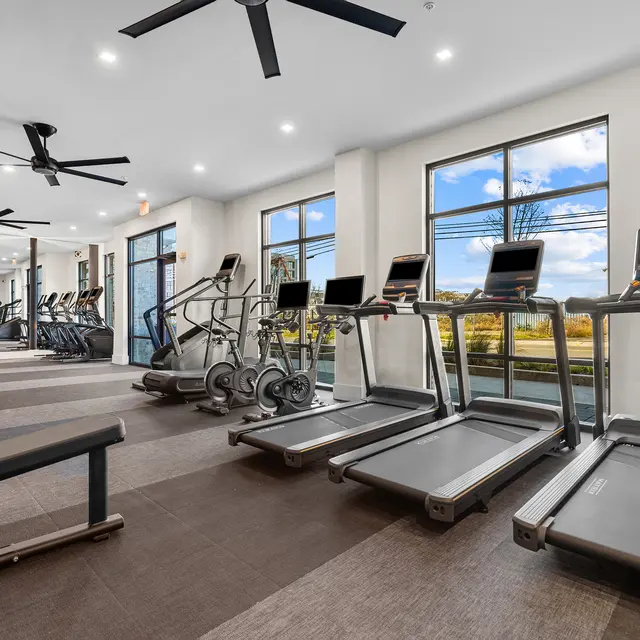 A modern gym featuring multiple treadmills, elliptical machines, and workout equipment arranged neatly. Large windows allow natural light to flood the space, offering a view of the outdoors. Ceiling fans are visible and the flooring is a mix of textures.