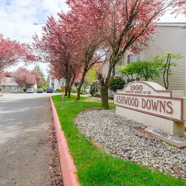 Entrance sign of Ashwood Downs community surrounded by blooming cherry blossom trees and well-maintained landscaping.
