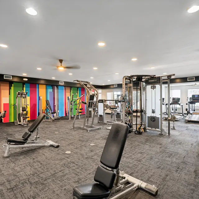 Modern Gym Interior A modern gym interior featuring various exercise machines, colorful walls, and ample natural light.