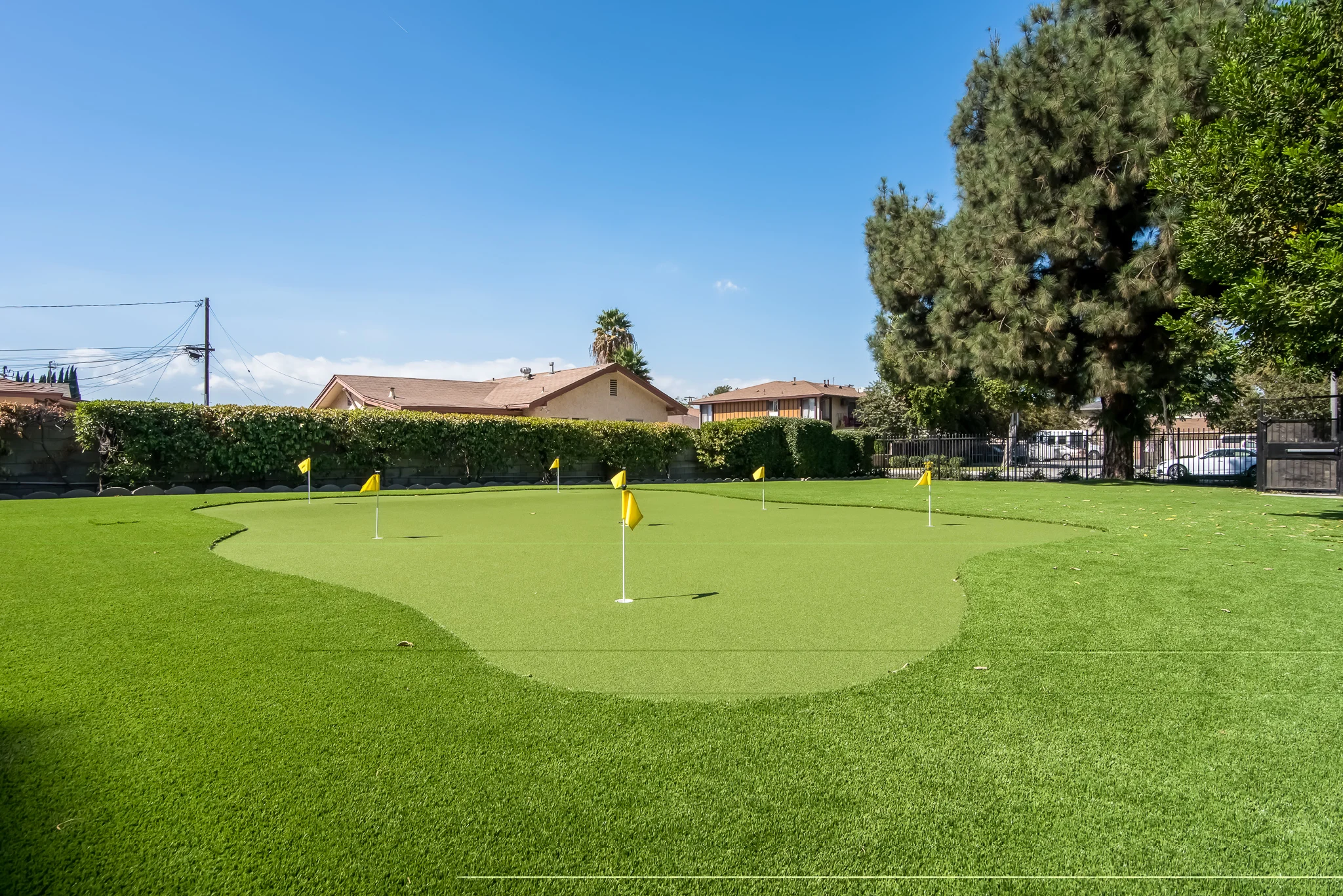 Backyard Putting Green A backyard putting green with several flags and a well-maintained surface, surrounded by trees and houses in the background under a clear blue sky.