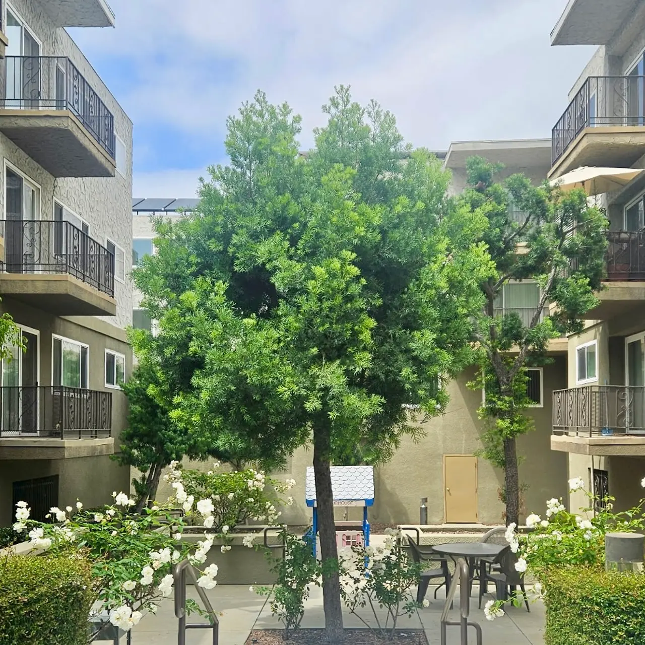 A view of an apartment complex courtyard with a central tree surrounded by green bushes and white flowers. Pathways lead to seating areas.