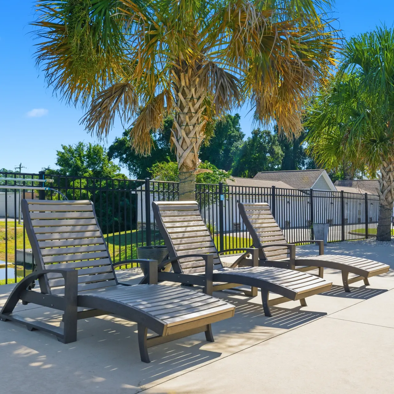 A serene pool area featuring four lounge chairs positioned along the edge of a pool, with palm trees in the background and a fence marked with a 'No Diving' sign visible.