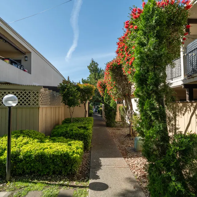 A peaceful pathway surrounded by hedges and flowering plants, flanked by two buildings under a clear sky.