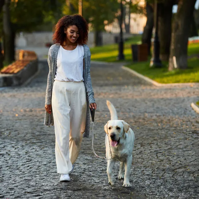 Walking a Dog in the Park A woman walking a Labrador dog on a cobblestone path in a park setting. She is smiling and appears relaxed, wearing a casual outfit with a long cardigan.