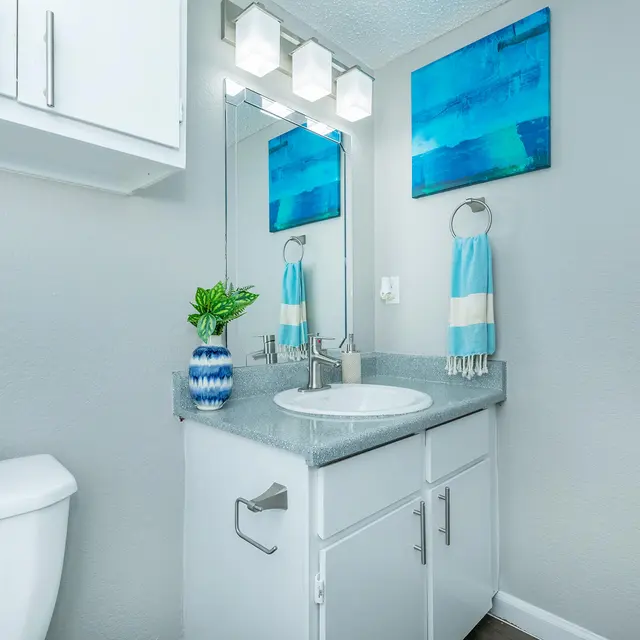 A stylish bathroom featuring a gray wall, a white sink with a gray countertop, a toilet on the left, and modern lighting above the mirror. Decorated with two blue paintings and a small potted plant.