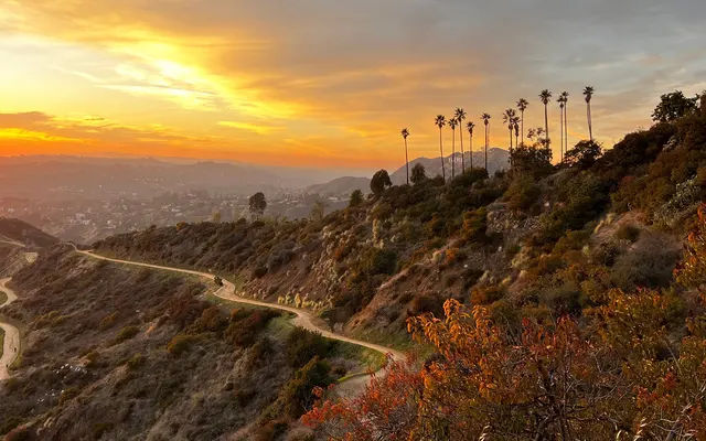 A scenic view of a winding pathway through hills at sunset, with palm trees silhouetted against a vibrant orange and yellow sky.