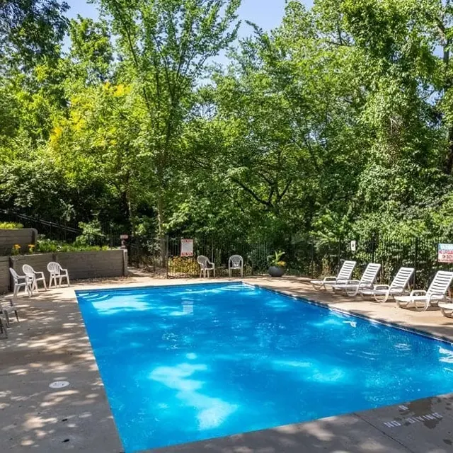 A serene swimming pool surrounded by greenery, with lounge chairs placed neatly around it.