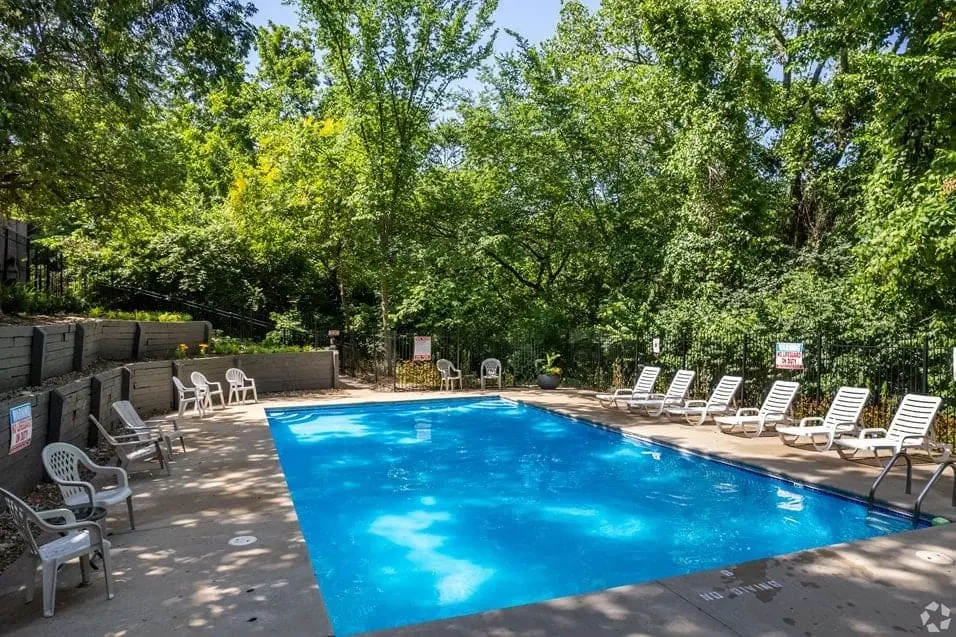 A serene swimming pool surrounded by greenery, with lounge chairs placed neatly around it.