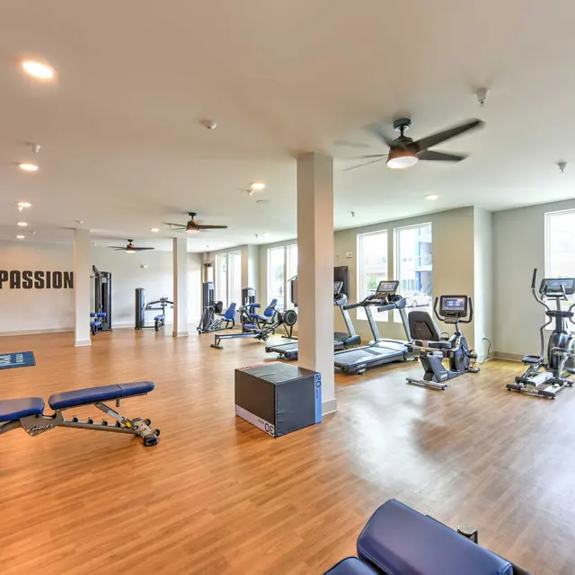 Modern Fitness Gym Interior Interior view of a modern fitness gym featuring various exercise equipment and large windows.