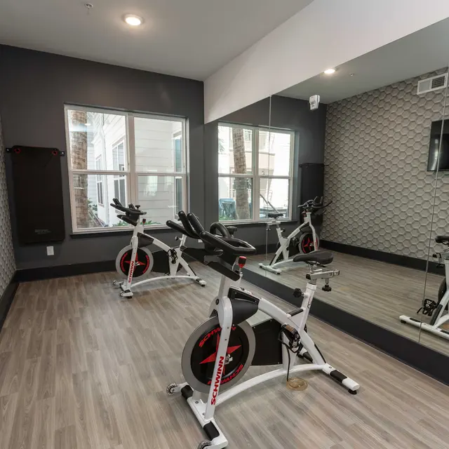 A bright indoor spinning studio featuring three stationary bikes, large windows, and a mirror along one wall.