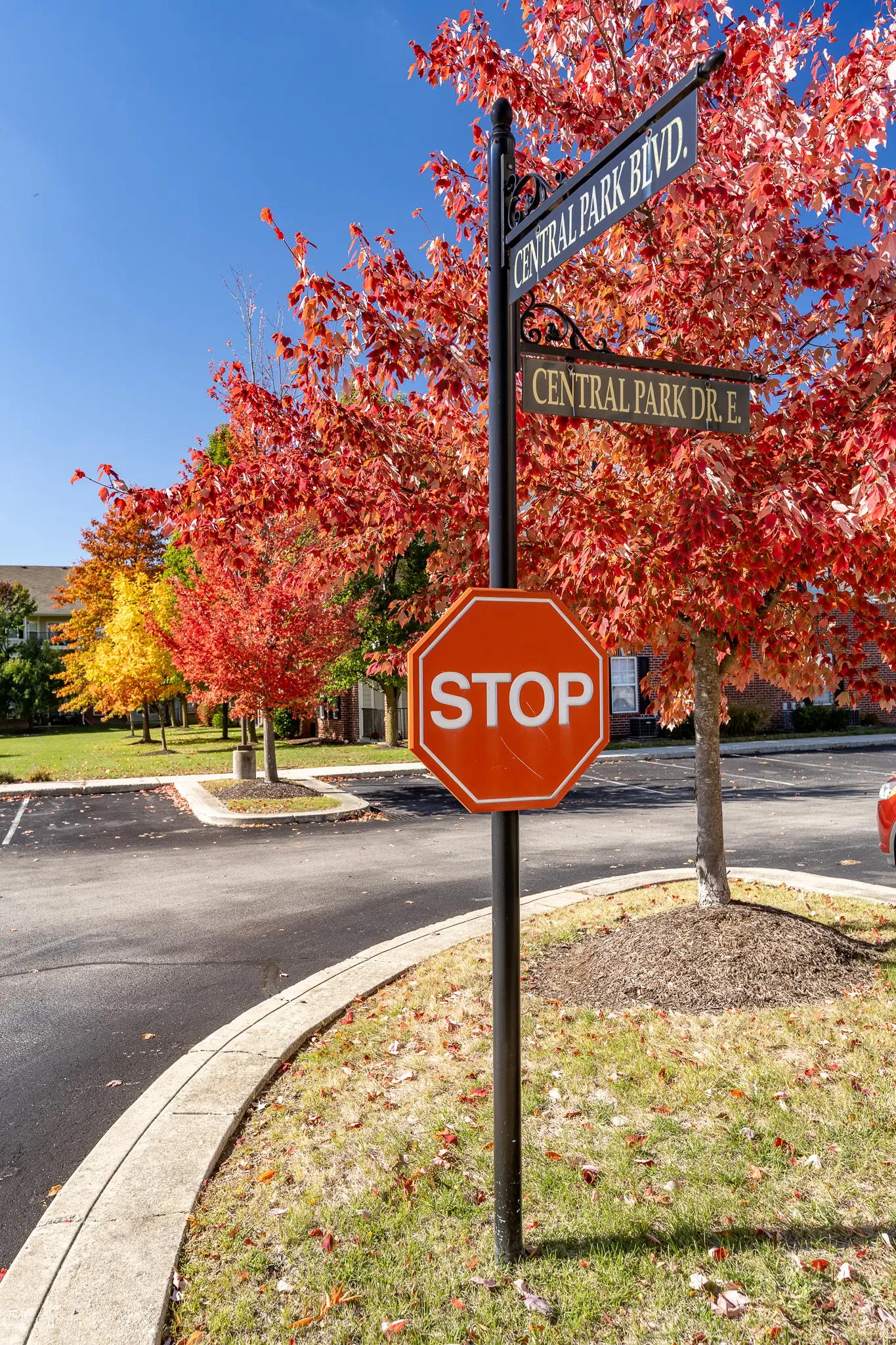 A stop sign at the intersection of Central Park Blvd. and Central Park Dr. E, surrounded by vibrant autumn foliage.