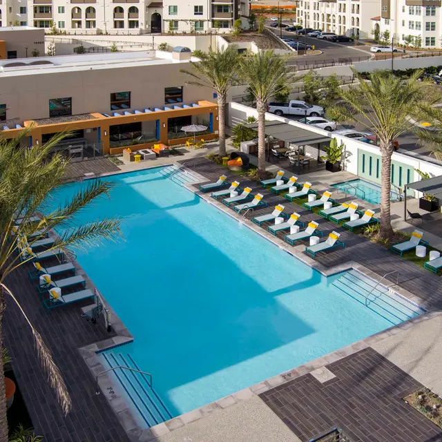 Modern Apartment Complex Pool Area Aerial view of a modern apartment complex pool area featuring a large swimming pool surrounded by lounge chairs and palm trees.