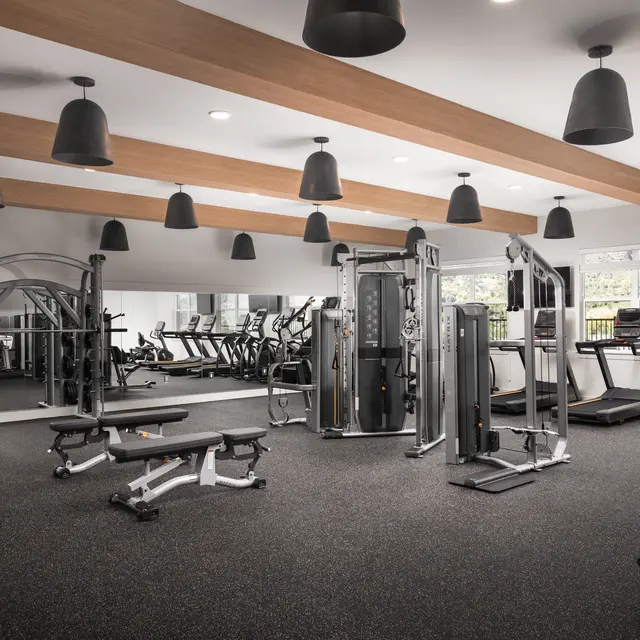 An interior view of a modern gym featuring various exercise equipment including treadmills, weight machines, and benches. The room is well-lit with pendant lighting and has a clean, contemporary design.