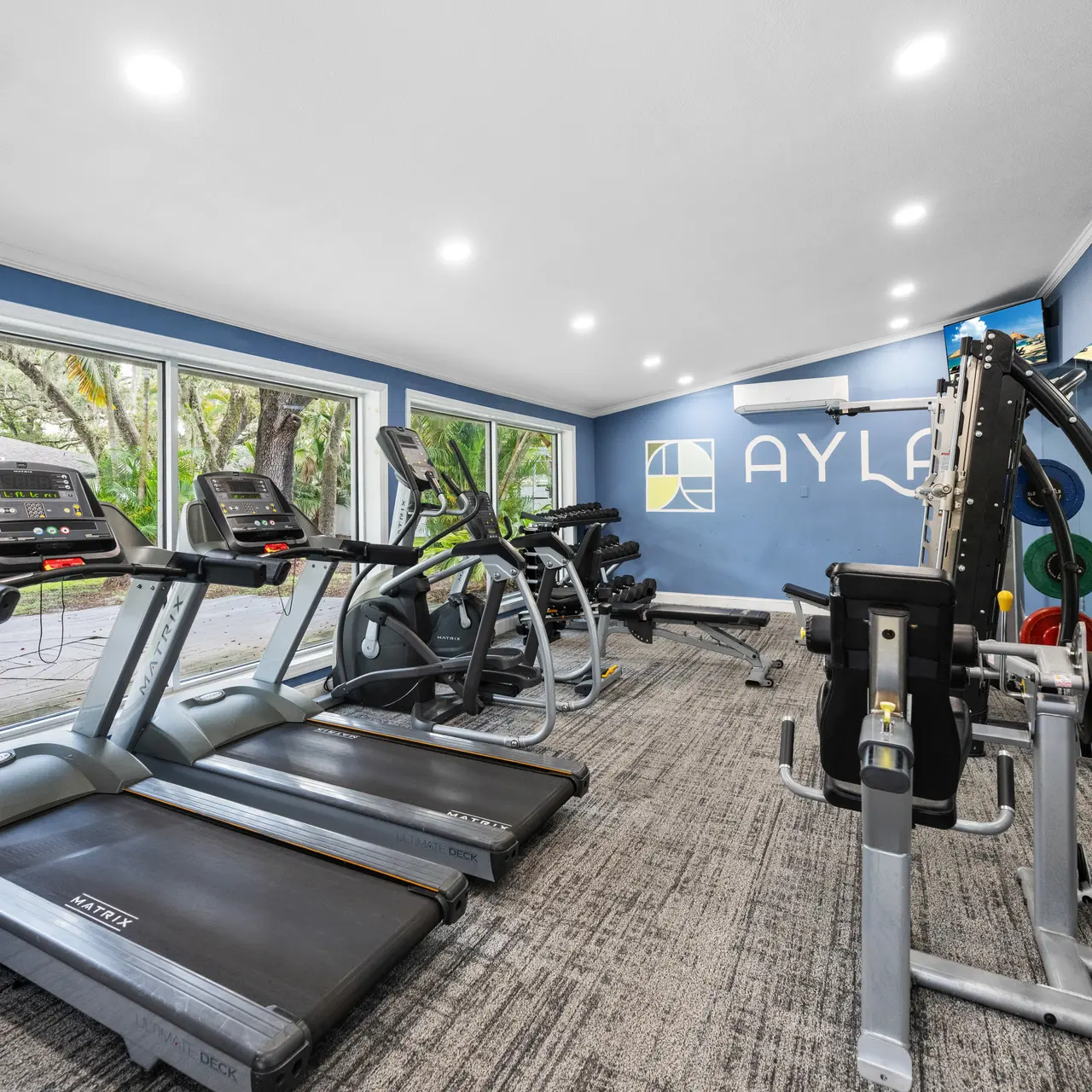 A modern gym interior featuring treadmills, exercise bikes, and strength training equipment against a blue wall with large windows letting in natural light.