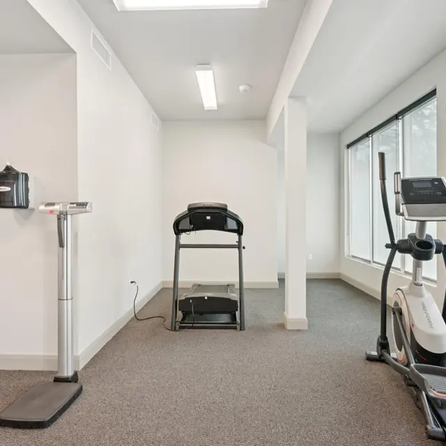 Bright Home Gym with Fitness Equipment Interior view of a home gym with a treadmill and an elliptical machine near large windows.