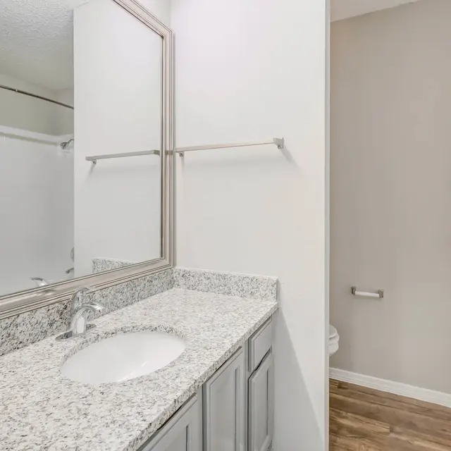 A modern bathroom featuring a large mirror above a granite countertop sink, with a separate shower area visible at the right. The walls are painted in a light color and the flooring is a wood-like material.