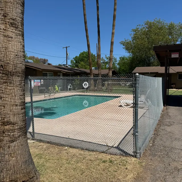 A fenced swimming pool surrounded by palm trees and rustic buildings in a sunny area.