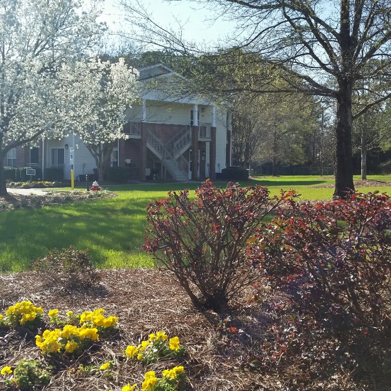 A sunny view of an apartment complex exterior with flowering trees and colorful flower beds in front.