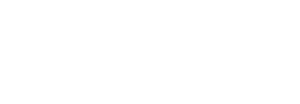 Bridge at Southpark Meadows