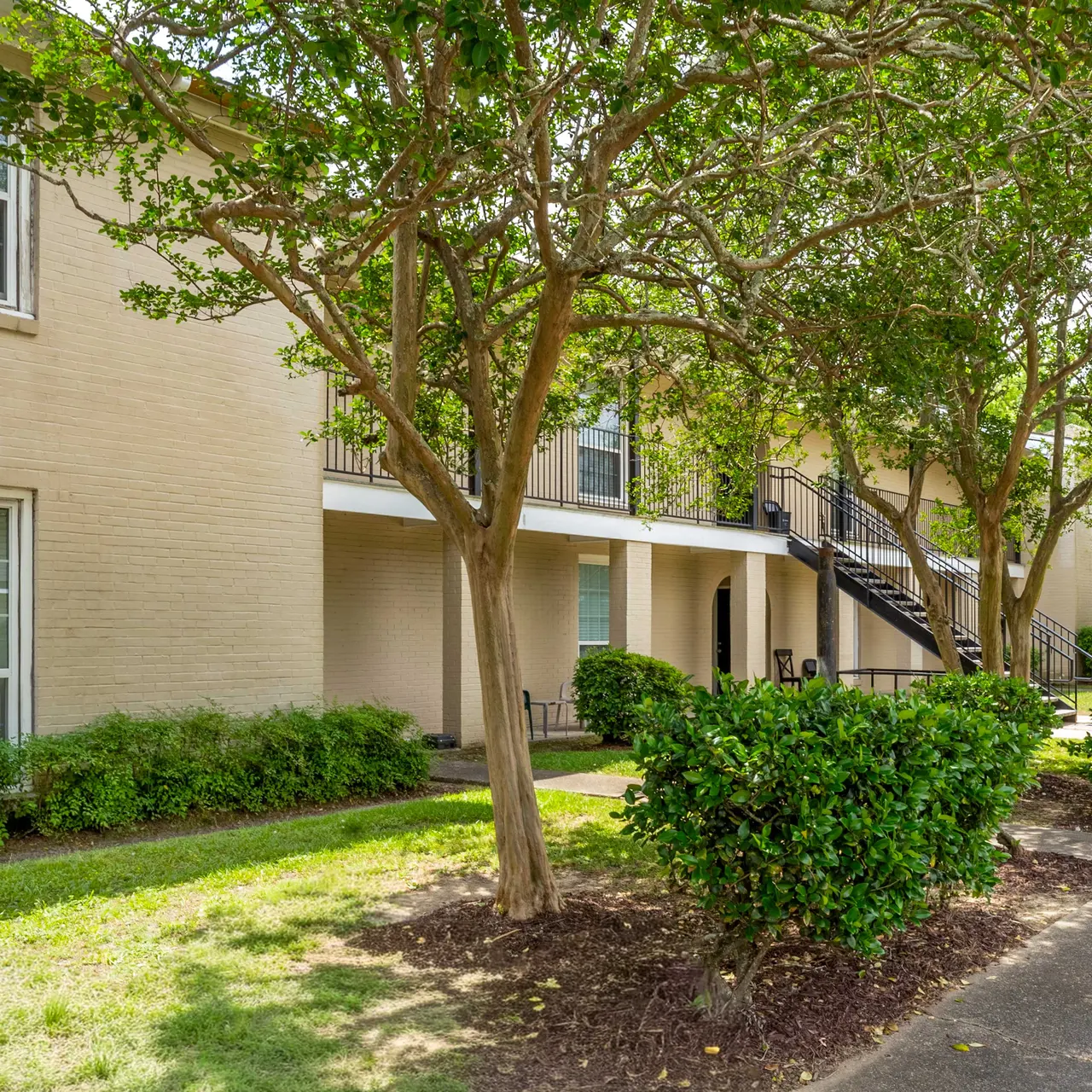 Exterior view of an apartment complex featuring trees and shrubs lining a pathway.