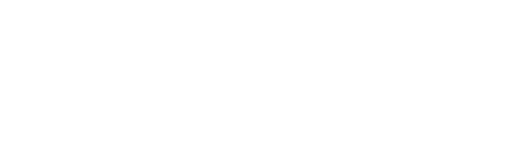 Logo for Botetourt Apartments featuring the text in modern white font.
