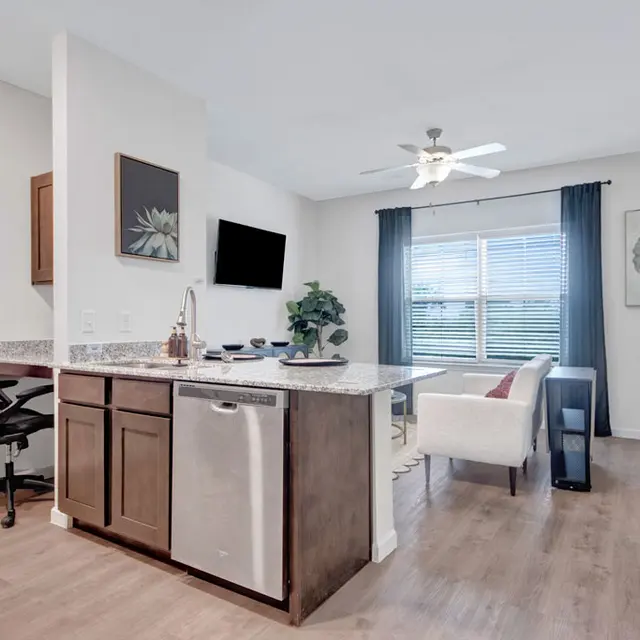 Modern Apartment Interior Interior view of a modern apartment showcasing a kitchen with a granite countertop, stainless steel appliances, and an adjacent living area with a sofa and decorative plants by a window.