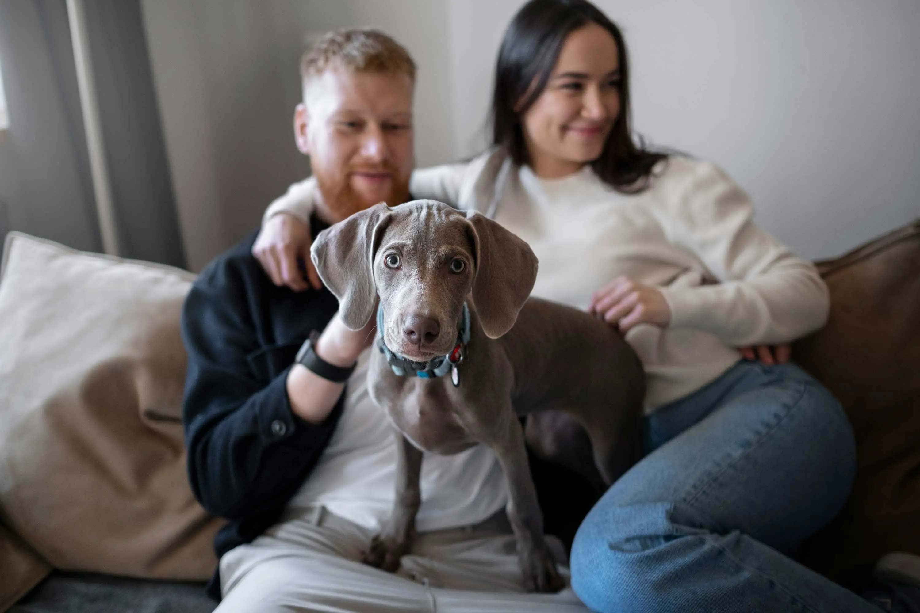 A young couple seated on a couch, with a gray dog in front of them. The man has a red beard and is wearing a black jacket, while the woman has long dark hair and is in a white sweater. They appear to be smiling and enjoying each other's company.