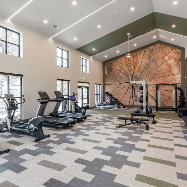A bright and spacious interior of a modern gym featuring various fitness equipment such as treadmills, weight benches, and a cable machine, with large windows allowing natural light in. The wall is decorated with a wood pattern.