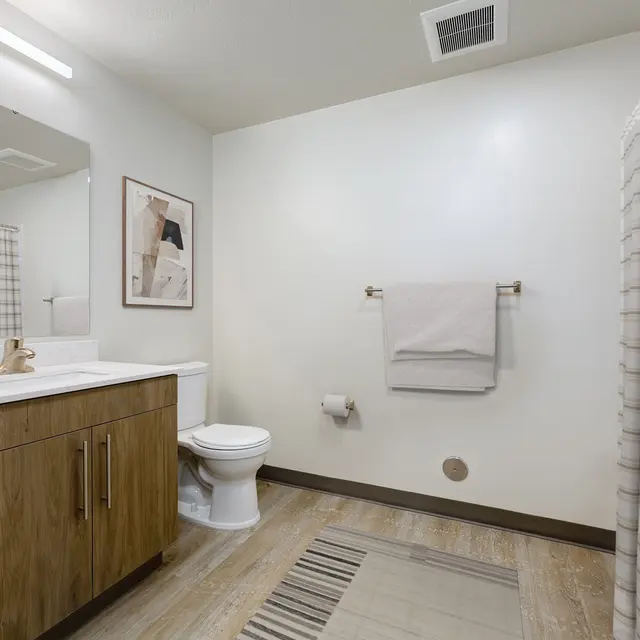 A modern bathroom featuring a wooden vanity with a sink, a white toilet, and a bathtub with a shower curtain. The walls are light-colored, and there's a decorative piece on the wall. A towel rack with a hanging towel is visible, along with a small rug on the floor.