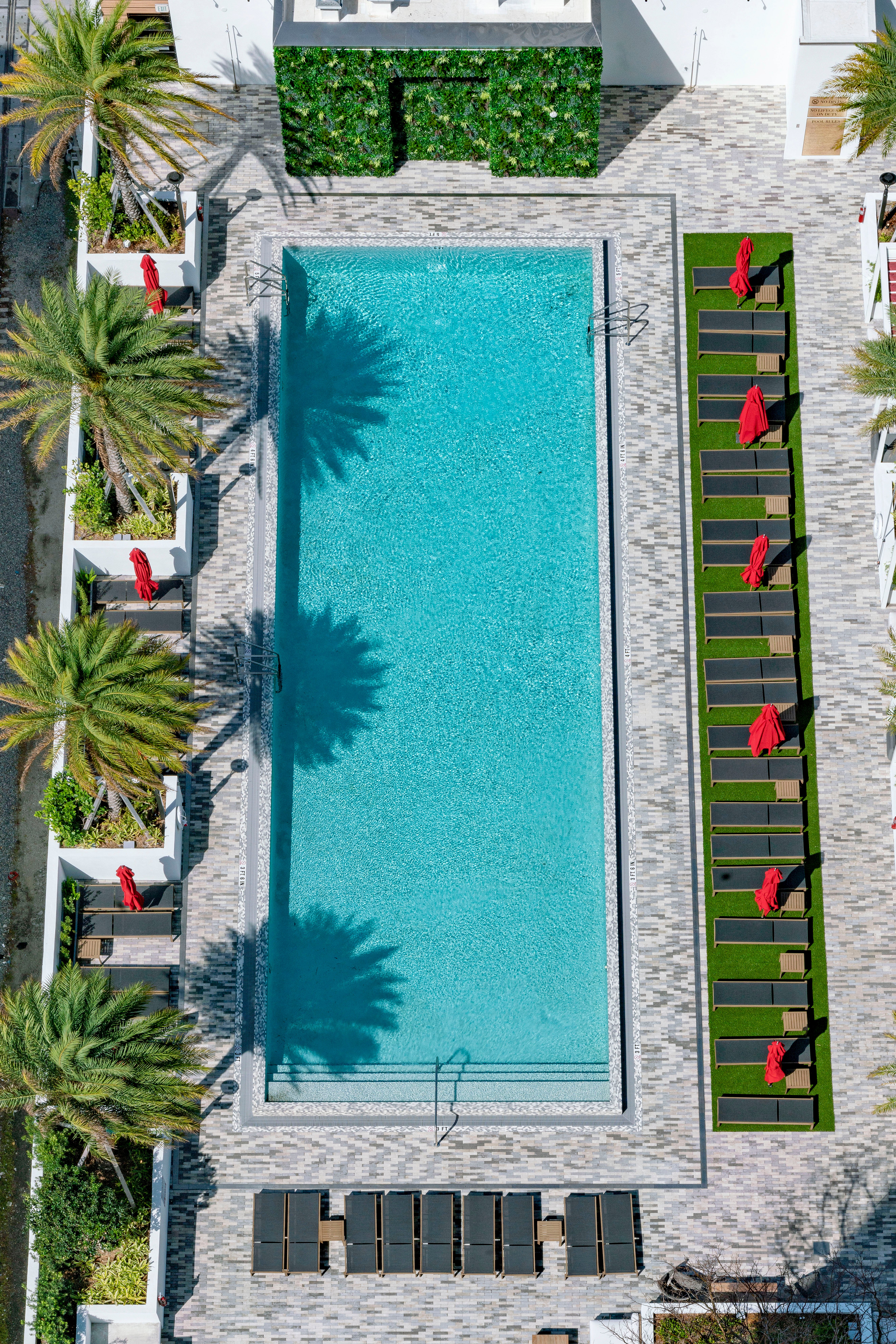 Aerial view of a swimming pool surrounded by palm trees and patterned deck chairs.