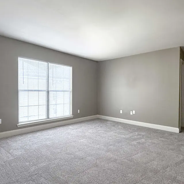 An empty room featuring gray walls, a large window with white blinds, and plush carpet flooring. The room is well-lit with natural light coming through the window, and there are electrical outlets visible on the wall.