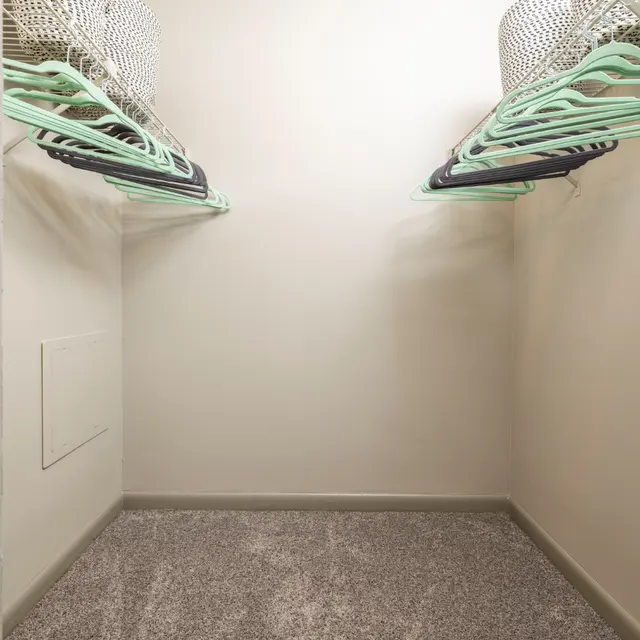 Empty closet with beige walls, two rows of hangers, and a carpeted floor, creating a clean and organized space.