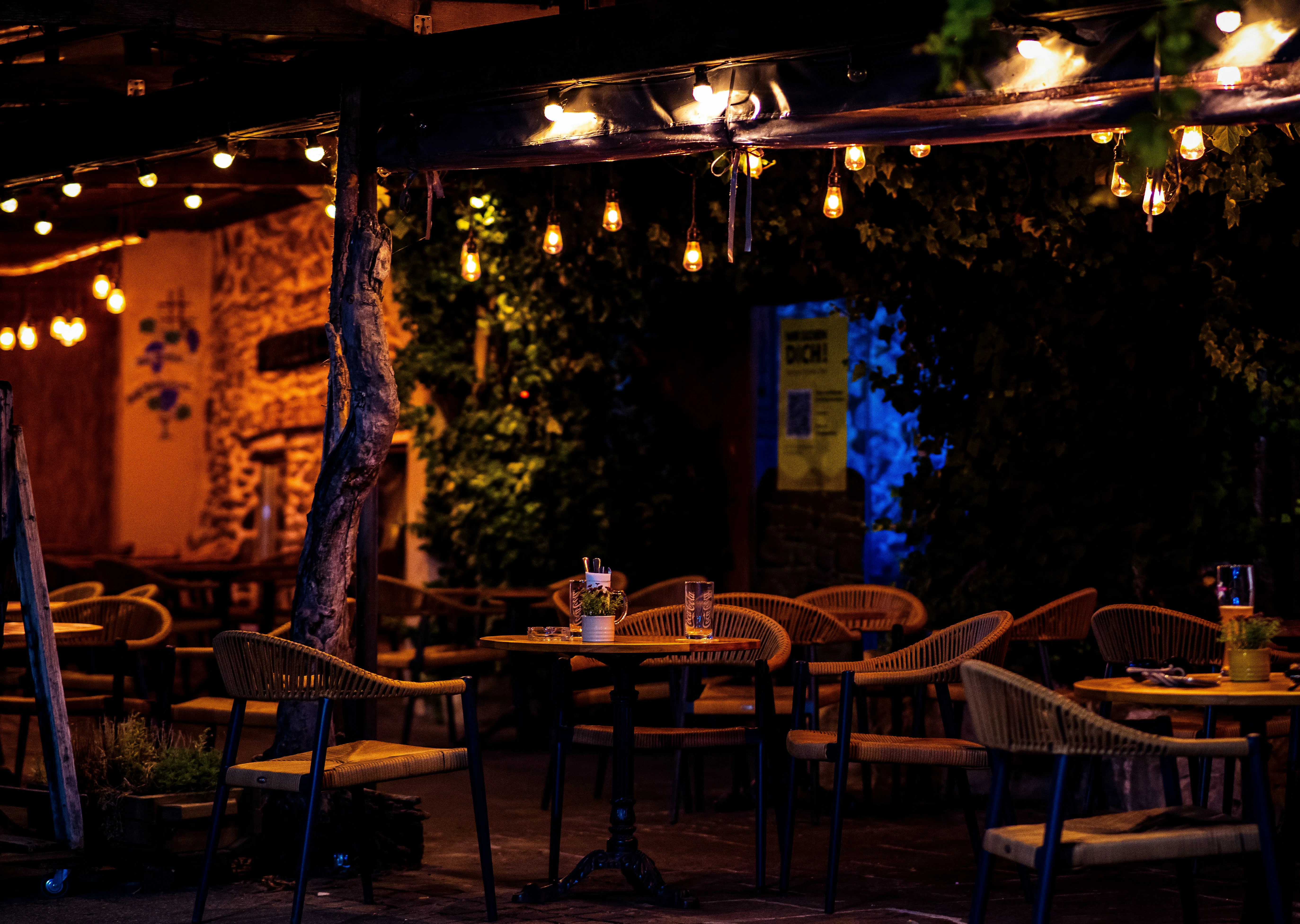 A cozy outdoor dining area with string lights illuminating the space, featuring tables and chairs under a rustic structure surrounded by greenery.