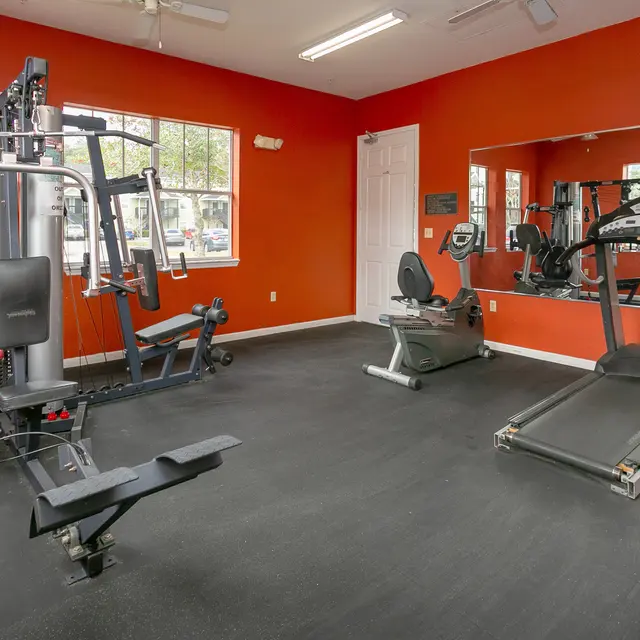 Interior of a small gym featuring workout machines against an orange wall, including a multi-station gym machine, a rowing machine, and a treadmill, with large windows allowing natural light to enter.