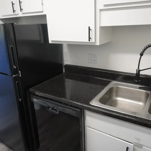 A modern kitchen featuring a black refrigerator, a dishwasher, and a double sink with a high-arc faucet, all set against a sleek countertop and white cabinetry.