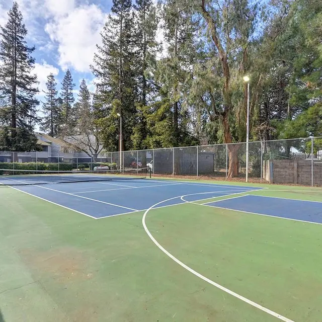 A wide view of a tennis court with green and blue sections, surrounded by trees.