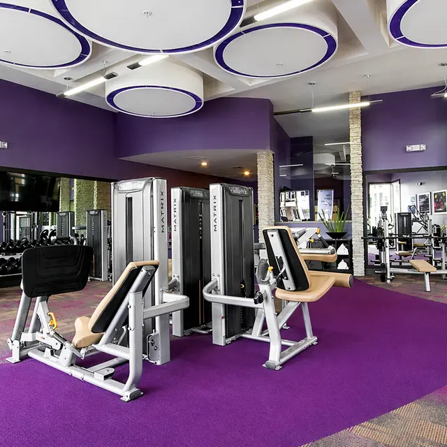Interior view of a gym featuring workout machines and a purple carpet. The space has modern design elements with circular ceiling lights and large windows.