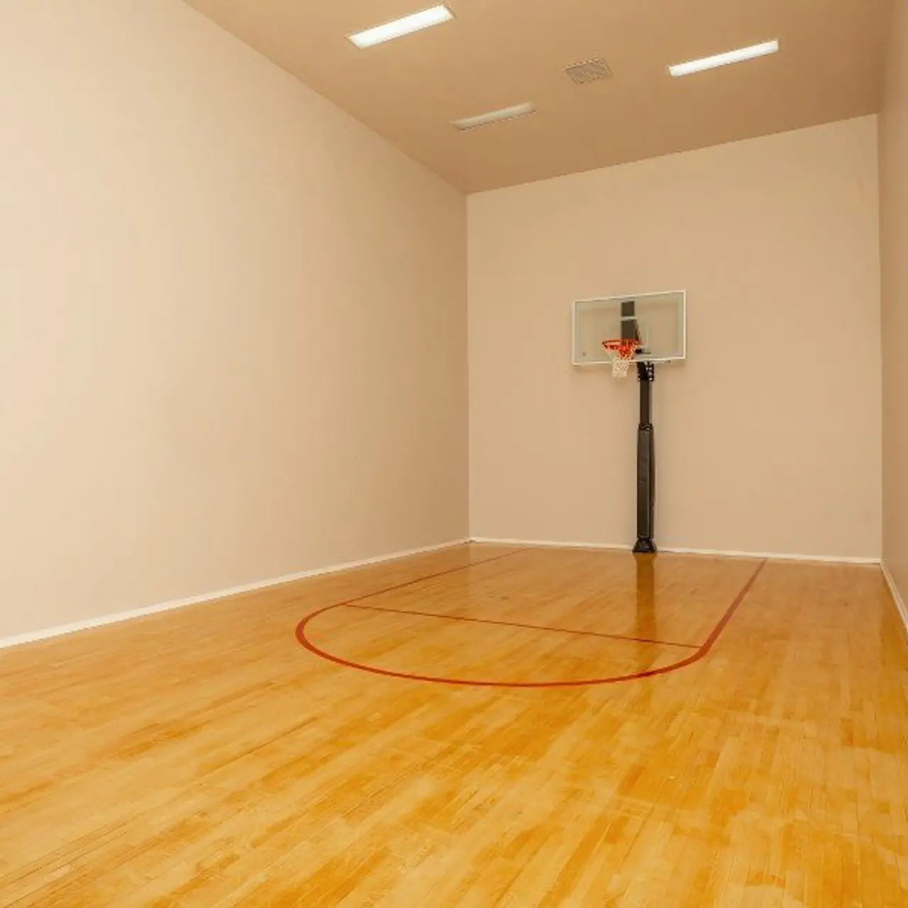 An indoor basketball court with a hoop at one end, wooden floor, and plain walls