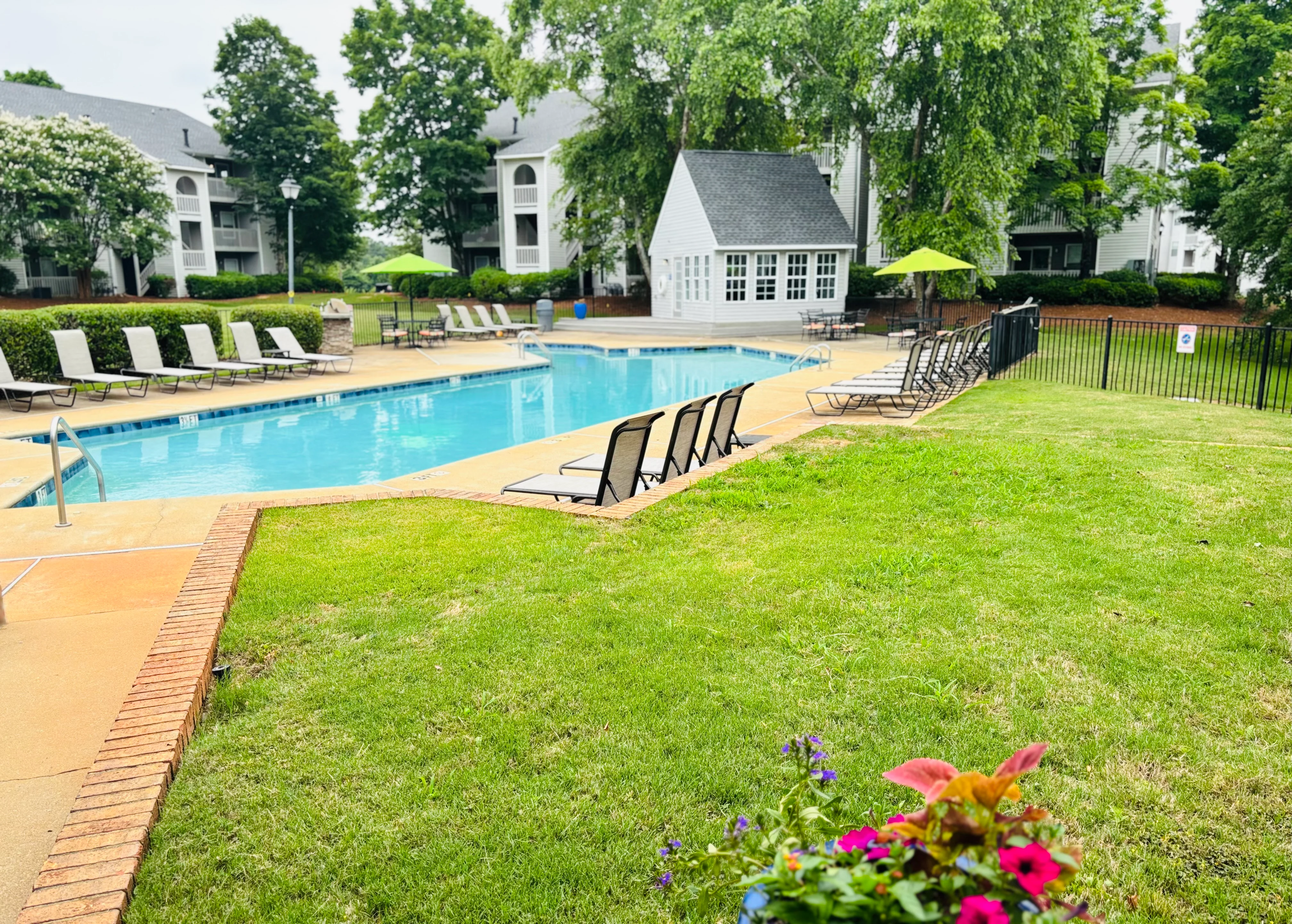 View of a swimming pool area with lounge chairs and green trees in the background.