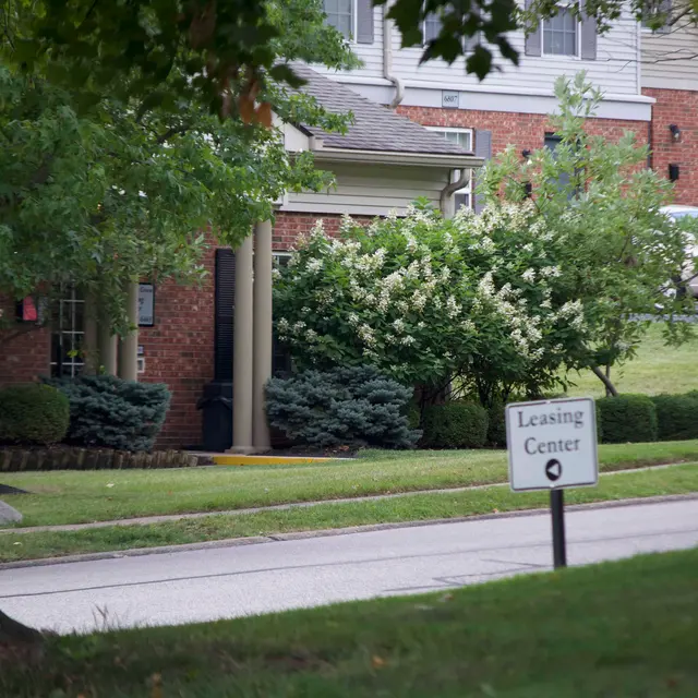 Normandy on The Green - Tree, Tree Trunk, Neighborhood