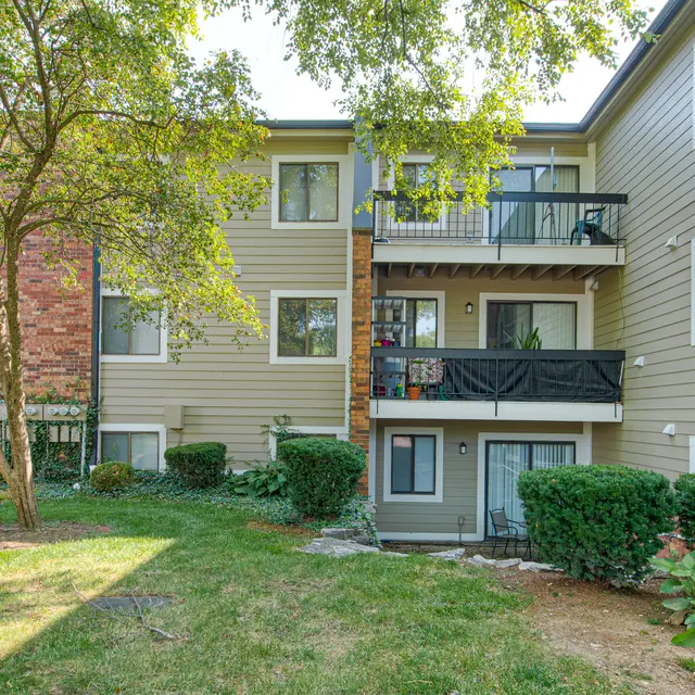 Chateau in the Woods - City, Neighborhood, Grass