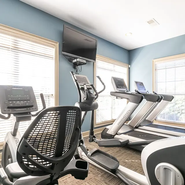 Summer Lake Summer Lake - Gym, Sport