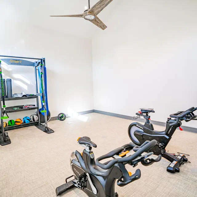 Chaparral Ranch - Ceiling Fan, Electrical Device