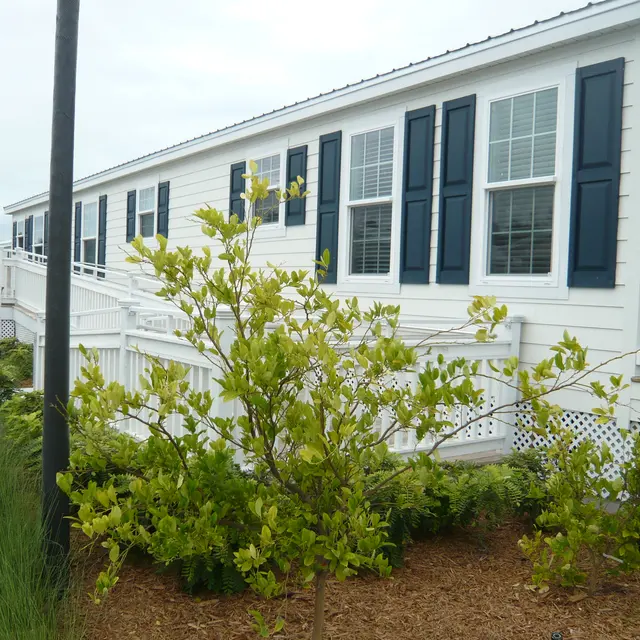 Flagler Village Apartments - Plant, Vegetation, City