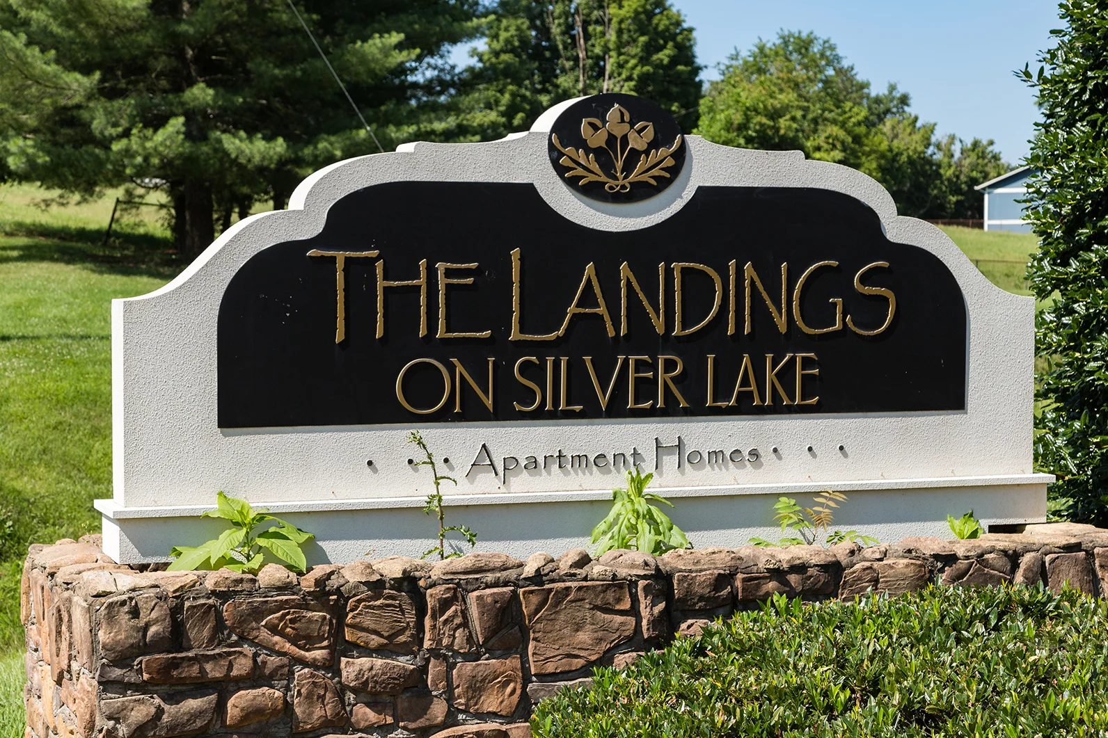 Landings on Silverlake - Potted Plant, Vase, Jar