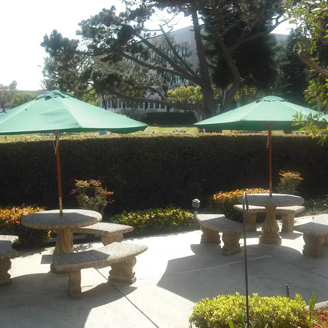 Yorktown Apartments - House, Housing, Patio