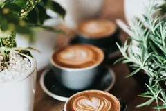 Three cups of expresso with leafs created from cream on top, surrounded by house plants, wood table.